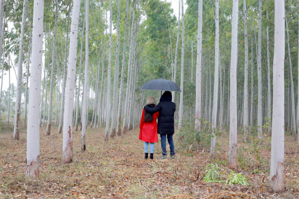 Outdoor image of a young couple standing alone in forest during day time in spring season. They standing by folded arms and looking at beautiful view of nature and cluster of eucalyptus tree trunks. They standing by their back at camera. Two People, full length, horizontal composition.