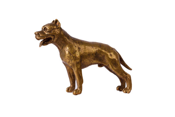 istock bronze pit bull terrier figurine isolated on white background 1388144295