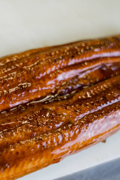 istock a large whole piece of eel on the roll table 1388148552