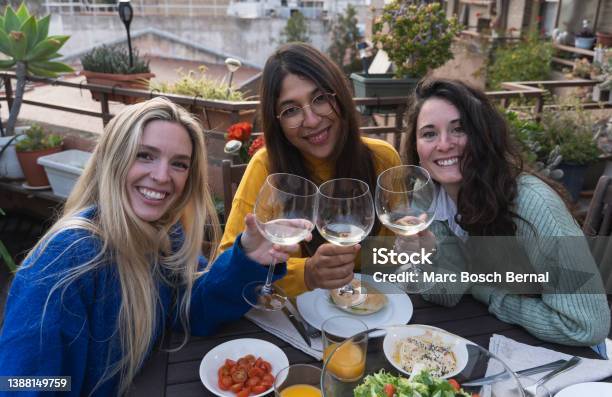 Women Toast With Wine At A Table While Facing The Camera Stock Photo - Download Image Now