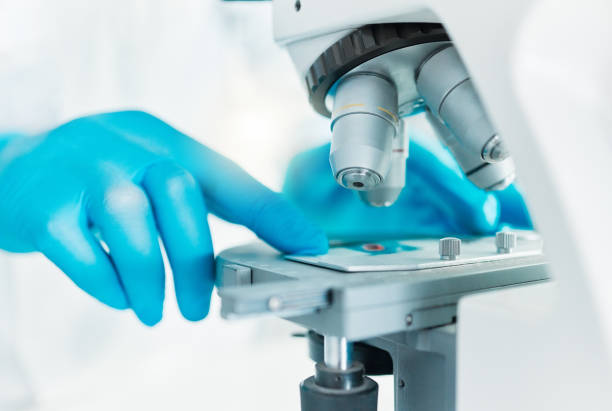 istock Closeup shot of an unrecognisable scientist using a microscope in a lab 1388150018