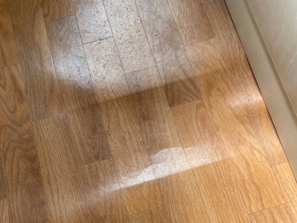 Close-up image of bathroom wood-effect vinyl flooring covering rotten floorboard, wood grain pattern, home interior housing problem, elevated view Stock photo showing some vinyl flooring in a bathroom, which has a realistic laminate wood flooring appearance. The flooring is covering a rotten floorboard in need of repair. faux wood stock pictures, royalty-free photos & images