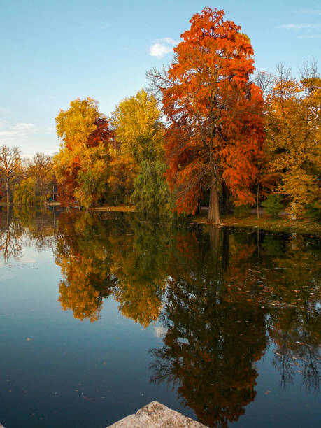 istock Autumn landscape , water reflection of trees. 1388154491