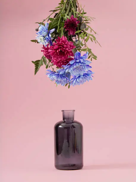 Photo of Bouquet of fresh Spring pink and blue flowers upside down from the glass black decorative vase. Creative concept on pastel pink background.