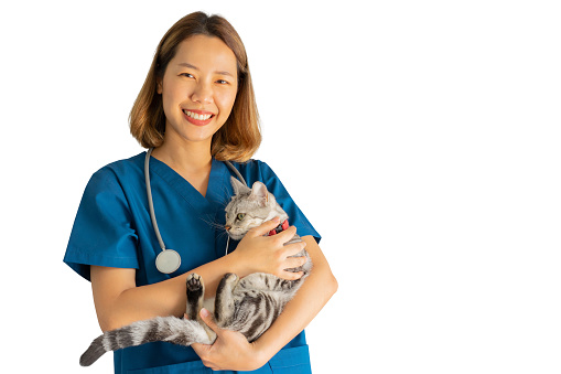 A mature female Veterinarian gently holds an adult cat on her exam table as she gives it a check up.  She is wearing white scrubs and has a stethoscope around her neck as she smiles warmly.