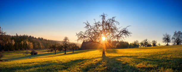 istock Panoramic shot of rural landscape with clear blue sky 1388161484