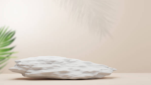 istock Stone podium and palm foliage on brown background with copy space 3D render 1388161541