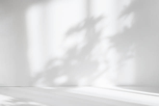 istock Abstract white studio background for product presentation. Empty room with shadows of window and flowers and palm leaves . 3d room with copy space. Summer concert. Blurred backdrop. 1388166960