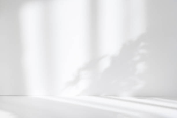 istock Abstract white studio background for product presentation. Empty room with shadows of window and flowers and palm leaves . 3d room with copy space. Summer concert. Blurred backdrop. 1388166961