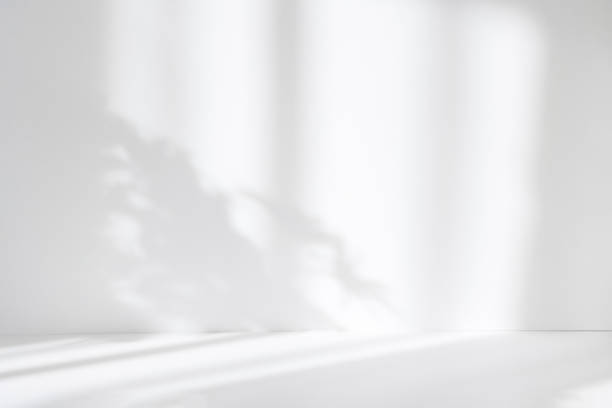 istock Abstract white studio background for product presentation. Empty room with shadows of window and flowers and palm leaves . 3d room with copy space. Summer concert. Blurred backdrop. 1388166962