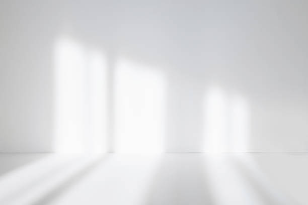 istock Abstract white studio background for product presentation. Empty room with shadows of window. Display product with blurred backdrop. Soft focus 1388166967