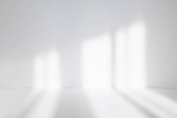 istock Abstract white studio background for product presentation. Empty room with shadows of window. Display product with blurred backdrop. Soft focus 1388166972