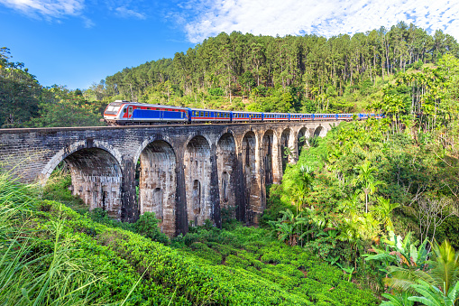 The train on the Nine Arches Demodara Bridge in Ella, Sri Lanka