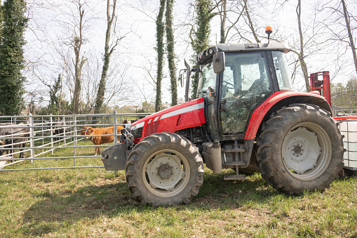 Modern red tractor in a farm