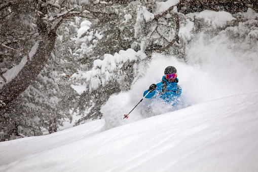 Freeride skier riding in deep powder snow in forest terrain
