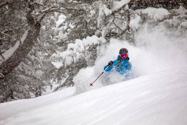 narciarz freeride jeżdżący w głębokim puchu śniegu w terenie leśnym - freeride zdjęcia i obrazy z banku zdjęć