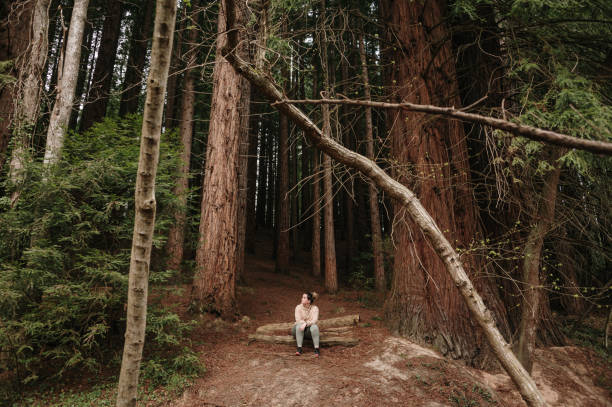 A young woman sitting on a tree trunk in a forest area