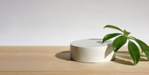Podium for cosmetic product presentation. Abstract minimal geometrical form. Cylinder stone sphere one form, shadow. Scene to show products. Showcase, display. Trendy sunlight. Front view. 3D.