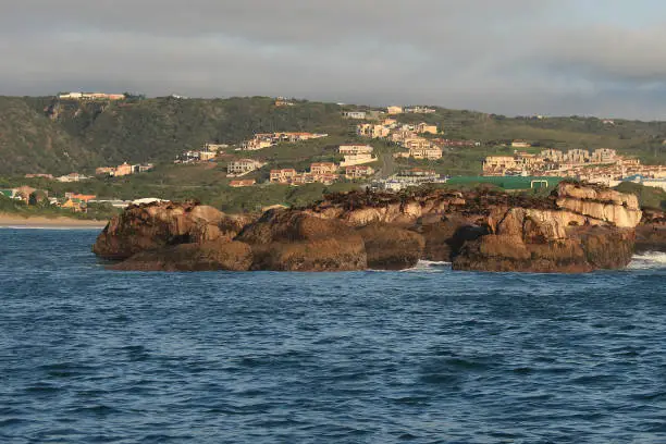 Seal Island off Mossel Bay, with its colony of Cape fur seals, Arctocephalus pusillus pusillus, in the early morning, South Africa