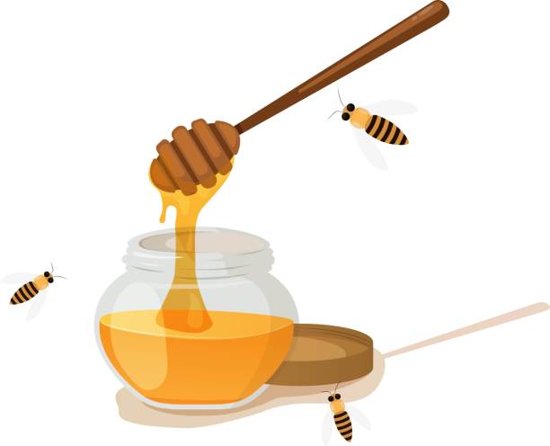 istock Honey jar and wooden dipper icon on white background vector illustration 1388167632
