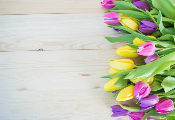 tulips on wooden ground with space for text background