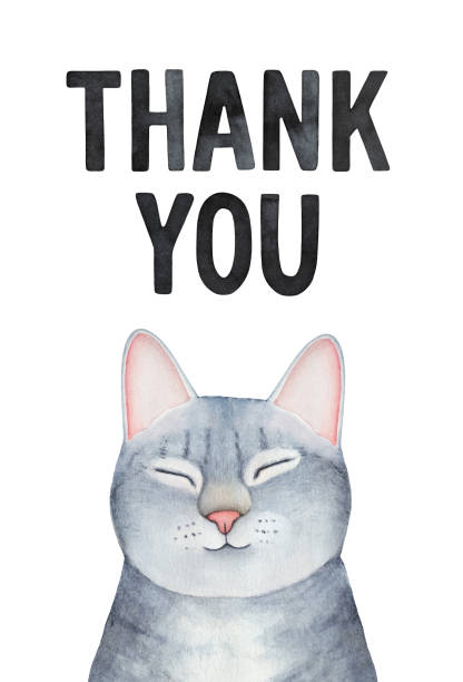 ilustraciones, imágenes clip art, dibujos animados e iconos de stock de ilustración en acuarela de lindo gatito adorable y letras de "gracias" en color negro sobre blanco. - thank you note you backgrounds