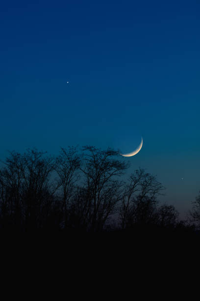 istock Crescent Moon with stars, planets and tree silhouettes on evening sky. 1388168764