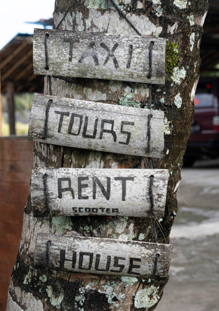 istock Wooden signs with lettering hanging on tree 1388169170