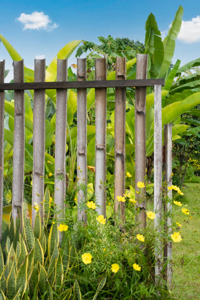 istock Bamboo fence with flowers 1388169195