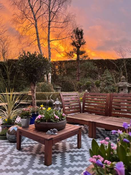 Stock photo showing ornamental Japanese-style garden with outdoor lounge area at sunrise. Featuring crystal clear koi pond, white, interconnecting, white plastic decking tiles with outdoor patterned rug, Japanese bonsai maples and hardwood seating and table. imagen de área de descanso al aire libre al amanecer, asientos de madera dura alrededor de la mesa de madera con centro de mesa de plantas con flores, árboles bonsái, arces japoneses, jardín de diseño oriental ajardinado, cielo naranja, púrpura y ros