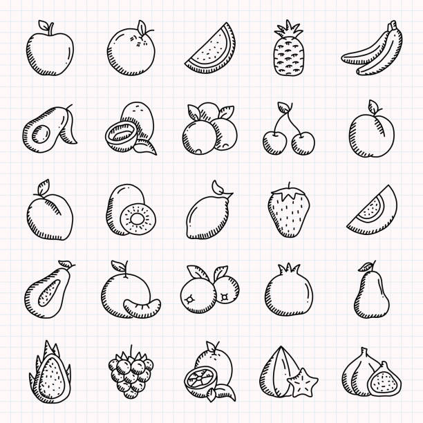 ilustraciones, imágenes clip art, dibujos animados e iconos de stock de conjunto de iconos dibujados a mano relacionados con frutas, ilustración vectorial de estilo garabato - fruit watermelon drawing doodle