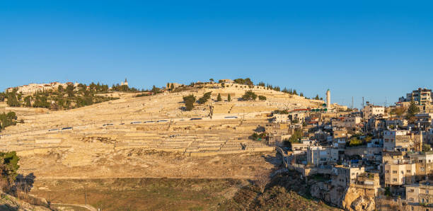 올리브 산, 일몰. 예루살렘, 이스라엘. - mount of olives 뉴스 사진 이미지