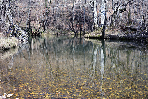 Internationally renowned for its ecological diversity and rare type of flooding forests, Longoz floodplains forest area is protected as a National Park