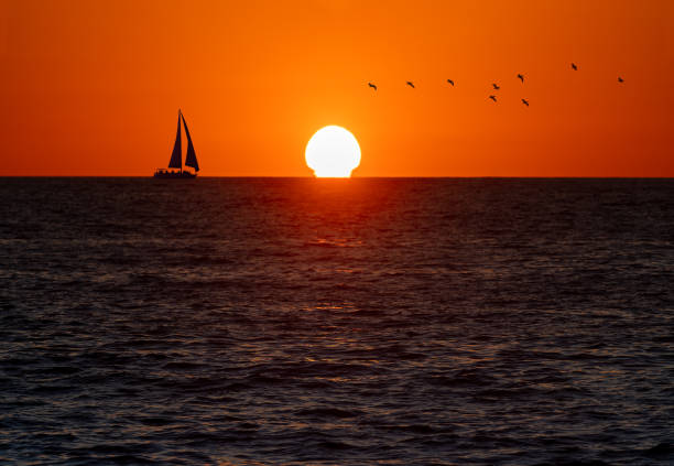 istock Sailboat Sailing Ocean Sunset 1388178010