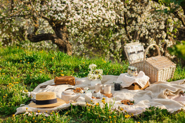 晴れた日に白いテーブルクロスの上で春の花畑でワッフルとお茶を添えた朝食ピクニック、桜。屋外、ピクニック、ブランチ、春の気分 - flower tree white apple tree ストックフォトと画像