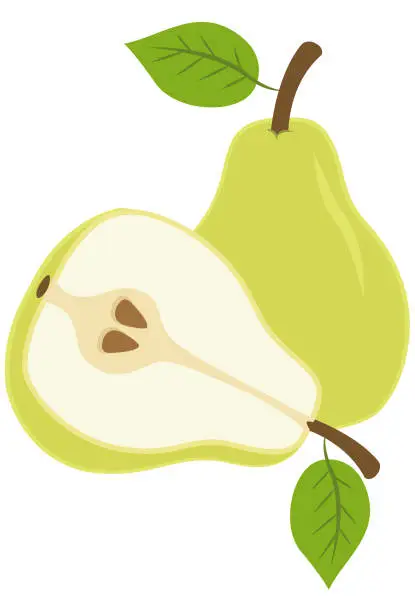 Vector illustration of Delicious pear
