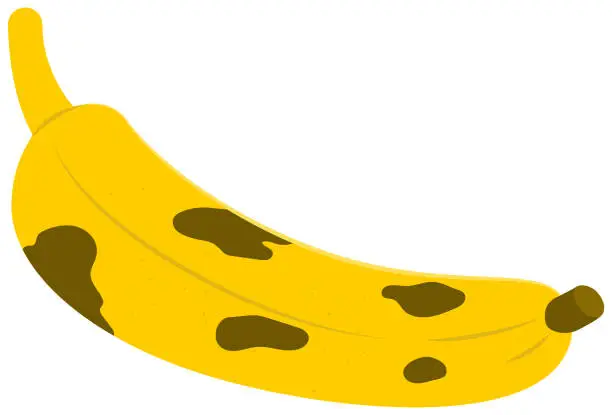 Vector illustration of Banana madura