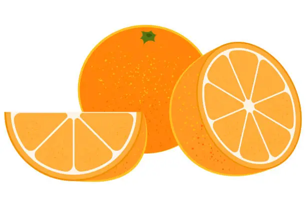 Vector illustration of Tasty orange