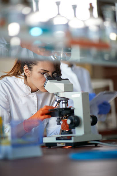 istock A young female student working with a microscope in a laboratory. Science, chemistry, lab, people 1388181044