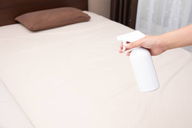 istock woman spraying a deodorant on a bedroom bed 1388181630