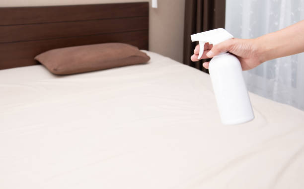 寝室のベッドに消臭剤をスプレーする女性 - 芳香剤 ストックフォトと画像
