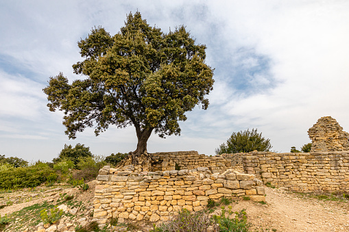 Caesar's camp was an 18-hectare ancient city overlooking the Rhone corridor and the confluence of the Cèze and Tave valleys.