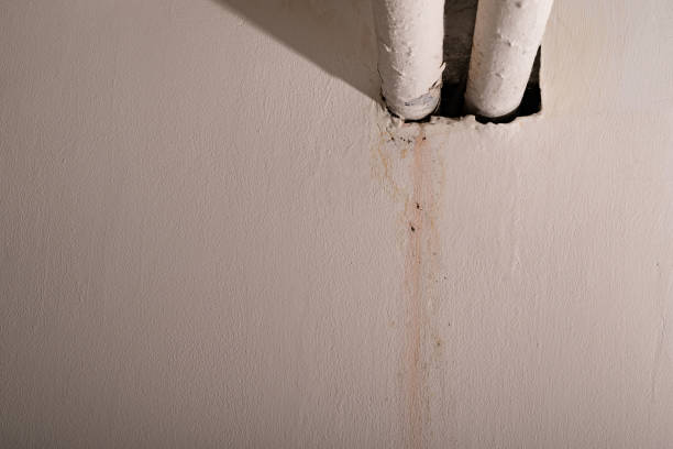 inundação de água da chuva ou sistemas de aquecimento do piso, causando danos, tinta descascando e mofo - plasterboard ceiling plaster molding - fotografias e filmes do acervo