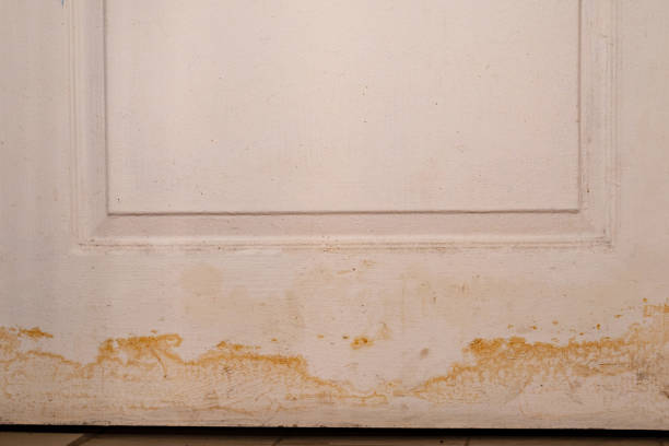 istock Flooding rainwater or floor heating systems, causing damage, peeling paint and mildew 1388188557
