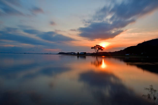 Sunrise VD702 of Gubongdo beauty song