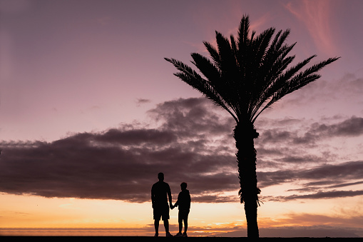 Silhouette couple standing against a beautiful dramatic sky at the sea during sunset with a palm tree.