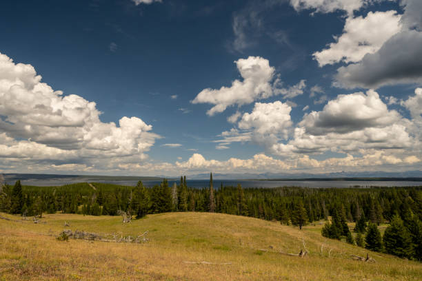 istock Rolling Meadow Above West Thumb And Yellowstone Lake 1388192685