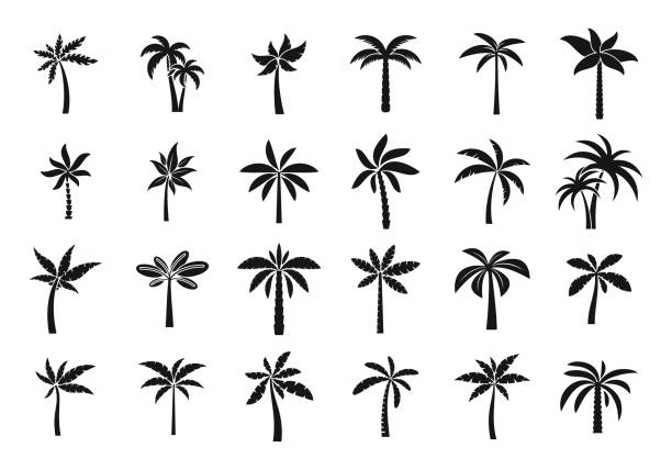 Palm icons set simple vector. Hawaii tree Palm icons set simple vector. Hawaii tree. Island coconut palm tree stock illustrations