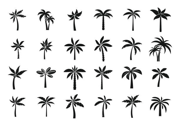 Palm icons set simple vector. Hawaii tree Palm icons set simple vector. Hawaii tree. Island coconut palm icon stock illustrations