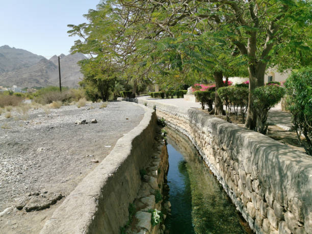 falaj daris is the largest falaj in oman - nizwa imagens e fotografias de stock